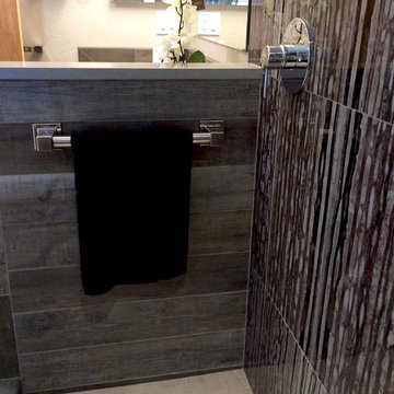 Manette Master Bathroom Project