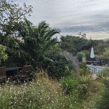 Jardin Exotique - Le jardin sur les Dune à l’île d’Oléron