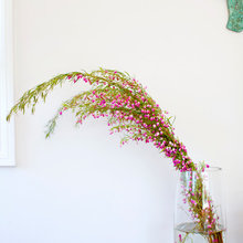 Decorating