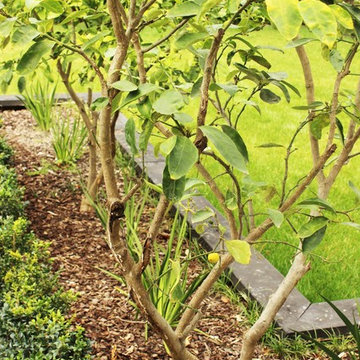 Takapuna Garden