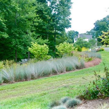 Native Meadow
