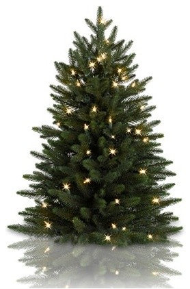 Balsam Hill Poconos Pine Mini Artificial Christmas Tree Balsam Hill Poconos Pine Mini Artificial Christmas Tree