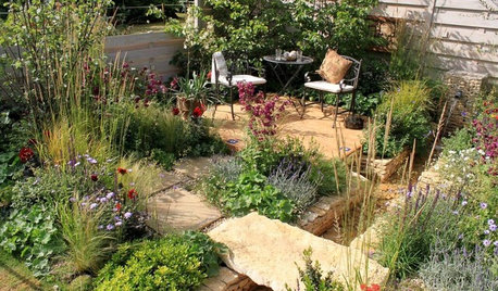 Where Designers Would Spend and Save in a Garden