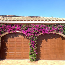 Trellis