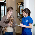 Sears Maid Services's profile photo