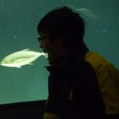 Kha Nguyen's photo