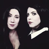 Adrian Heatley's photo