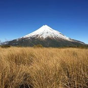 Heather Williams's photo
