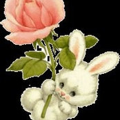 Bunnie Rose's photo