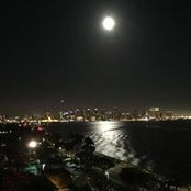 Stacy Carone's photo