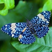 Foto de Wendy Kearse
