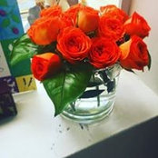 Victoria Glavin's photo