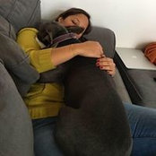 Sophia Torres's photo