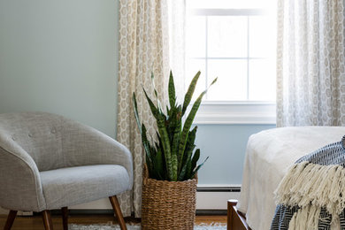 Bedroom - mid-century modern bedroom idea in Boston