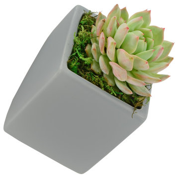 Small Cube Wall Planter, Light Gray
