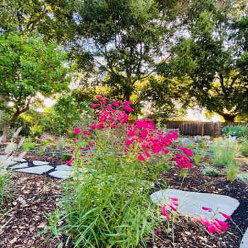 Food forest