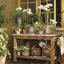 Garden ideas, for small terrace