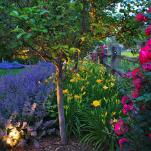 Landscape & garden