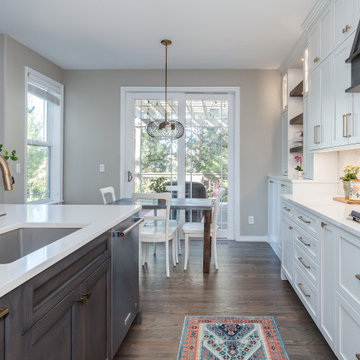 Highlands Ranch Sleek Transitional Kitchen