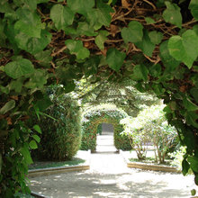 Plantation