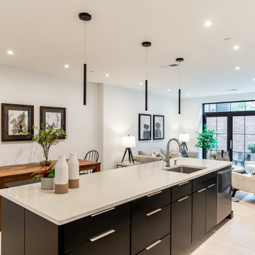 Southwest DC Duplex Renovation