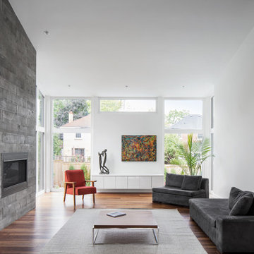 Modern Oasis