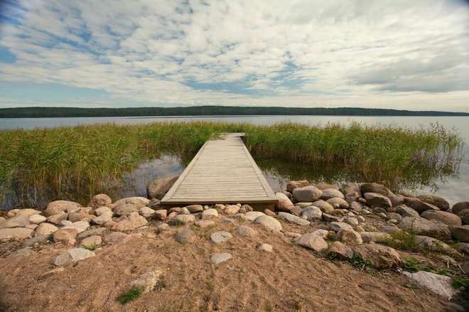 Современный Сад by Ландшафтное бюро Мох