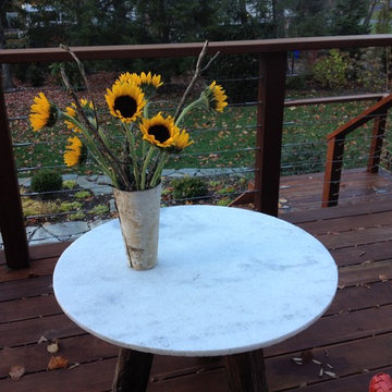 Nature in a Vase
