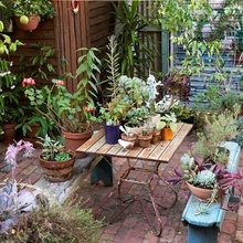 Backyard Sanctuary