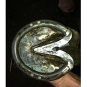 Stone Bridge Forge's photo