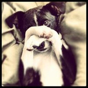 Gosia Kosmala's photo