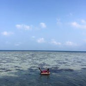 Tasha Araysha's photo