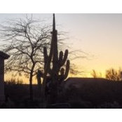 Nancy Parker's photo