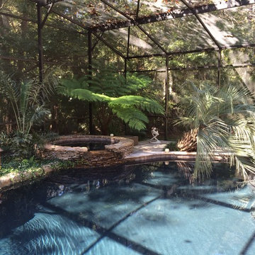 Jungle Love Pool Area