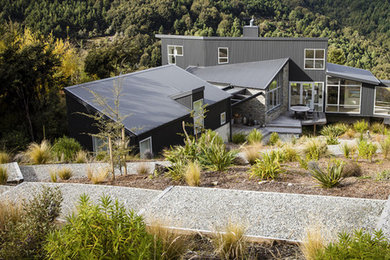 Photo of a contemporary garden in Dunedin.