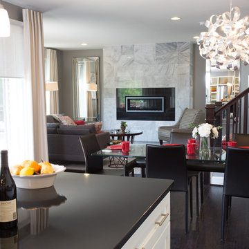 Sleek Contemporary Decor in Ashburn