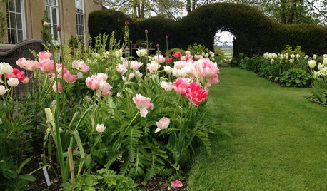 Kleine Fluchten: 38 prächtig blühende Frühlingsgärten