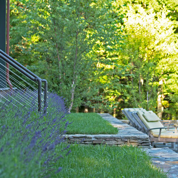 Lavender Gardens and Raised Lawn Terrace