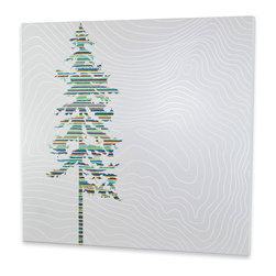 Doug Fir Painting - Paintings