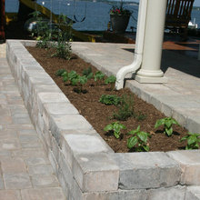 Landscape Ideas