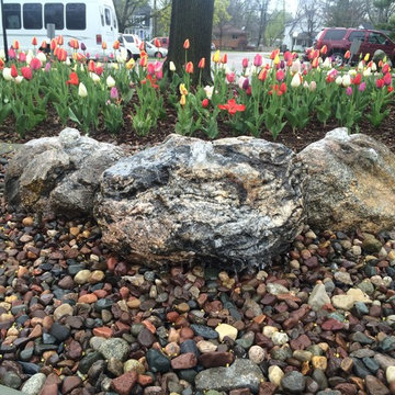 Bubbling Boulder - Ann Arbor, Michigan