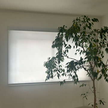 Dim-out Roller Shades