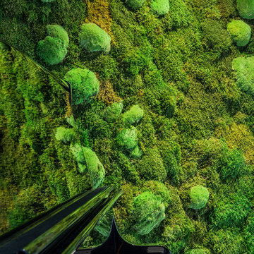 Jardín Vertical Interior