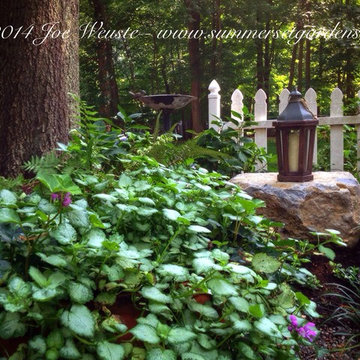 A shade garden planting detail