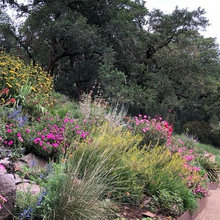 Bloomfield Garden