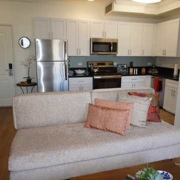 Santa Monica Rental