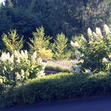 West Vancouver:  TERRACES
