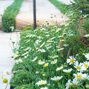 Show Garden 2019 Gold Medal