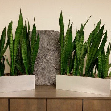 Plant Design