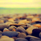 Tony Le's photo